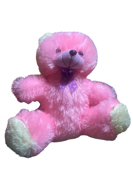 Pink doll Teddy bear